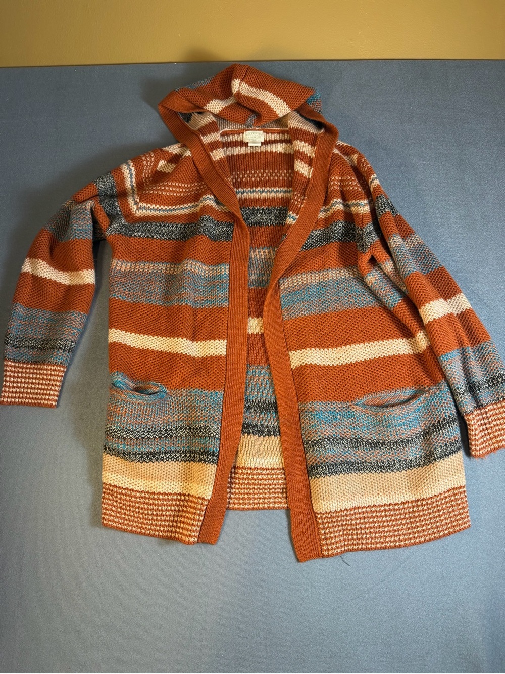 Striped Hooded Open-Front Cardigan in Rust Multi